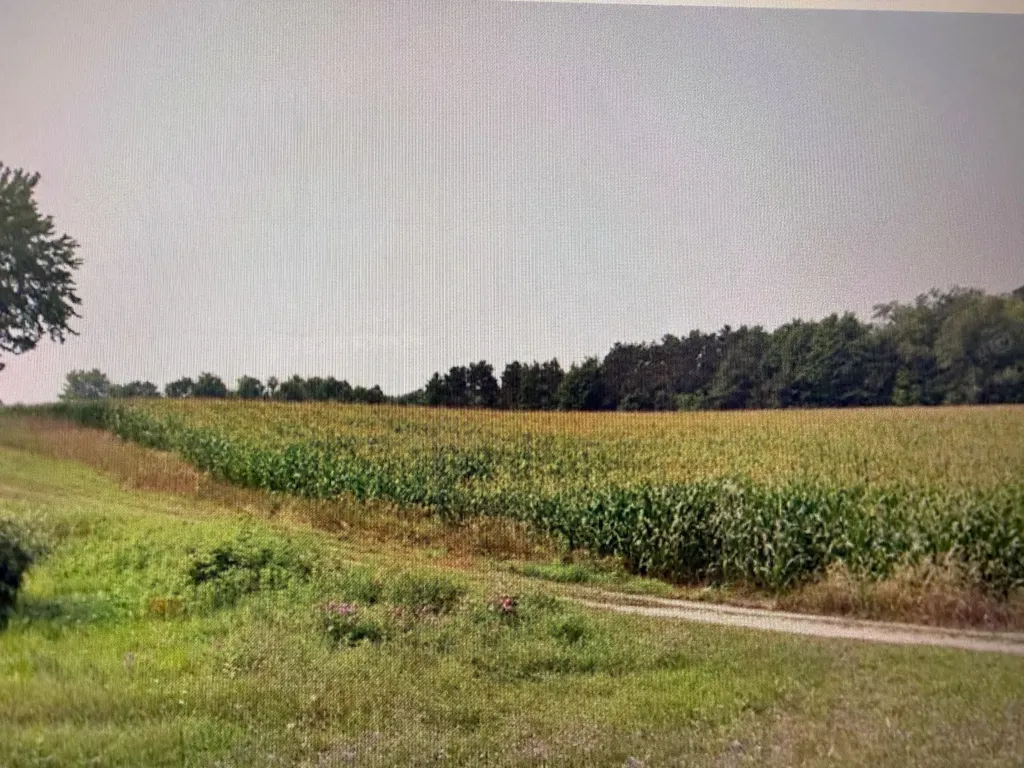 1330 Eden Hill Road Benzonia Township MI 49617