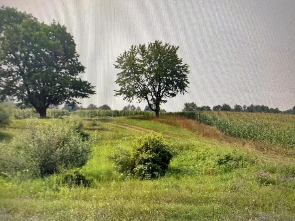 1330 Eden Hill Road Benzonia Township MI 49617