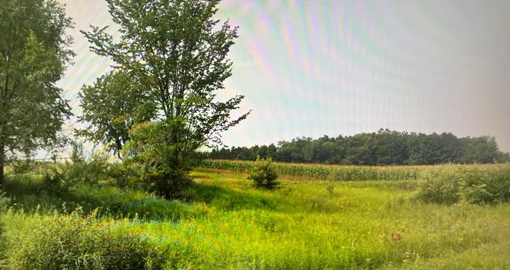 1330 Eden Hill Road Benzonia Township MI 49617