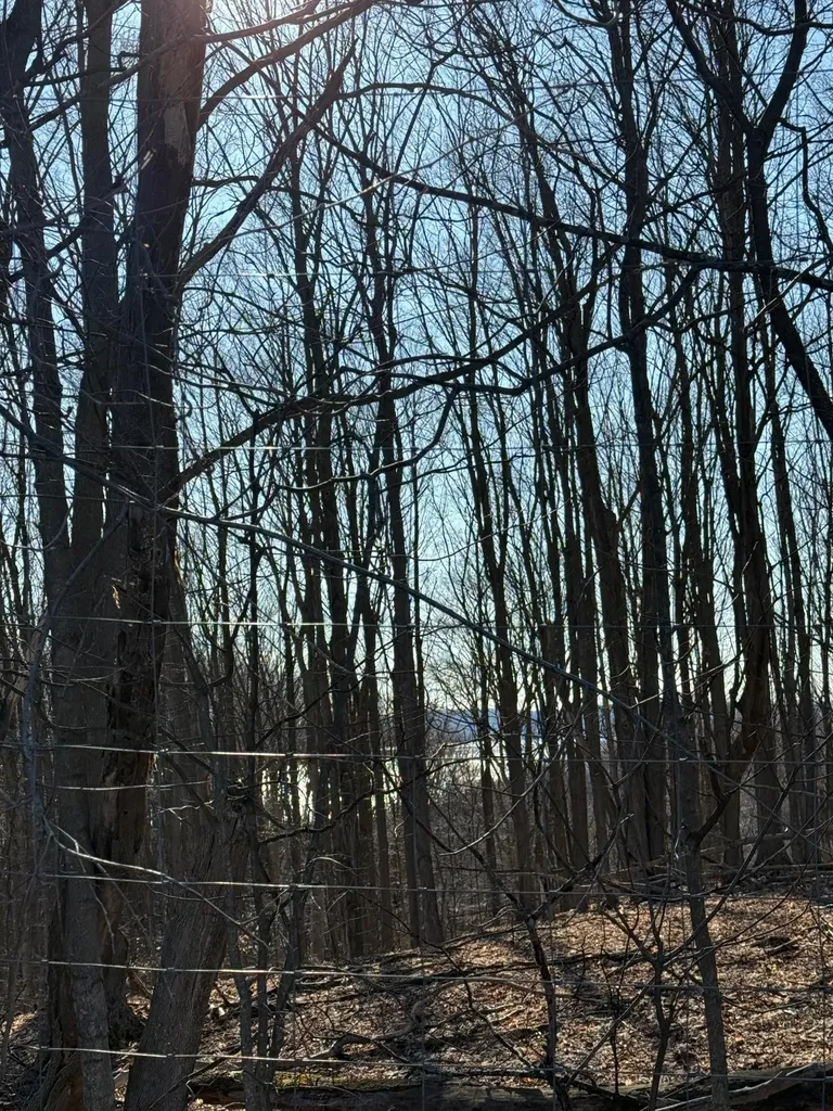 1330 Eden Hill Road Benzonia Township MI 49617