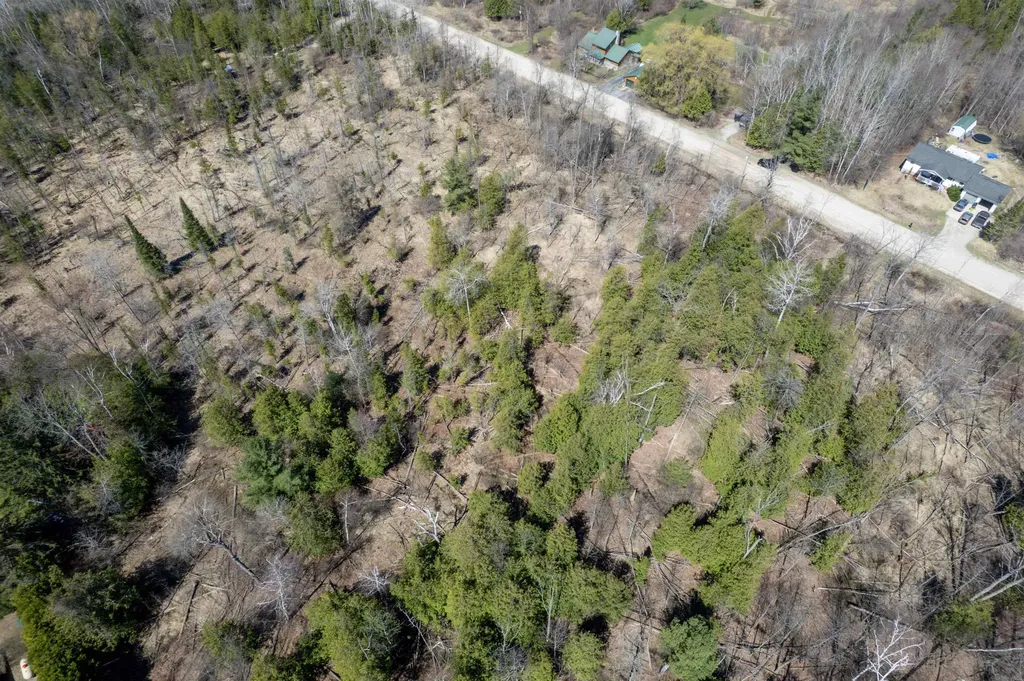 Vanderlip Road East Bay Township MI 49686