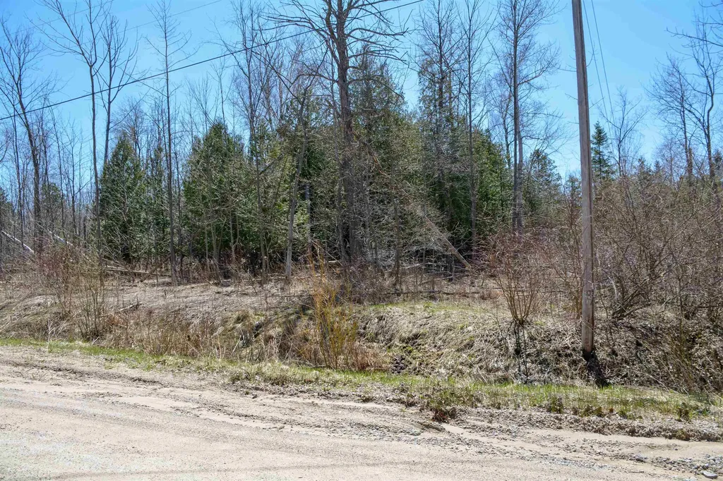Vanderlip Road East Bay Township MI 49686