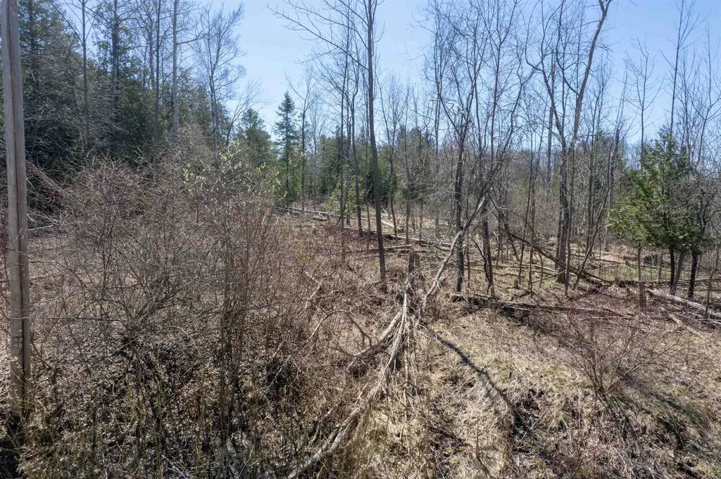 Vanderlip Road East Bay Township MI 49686