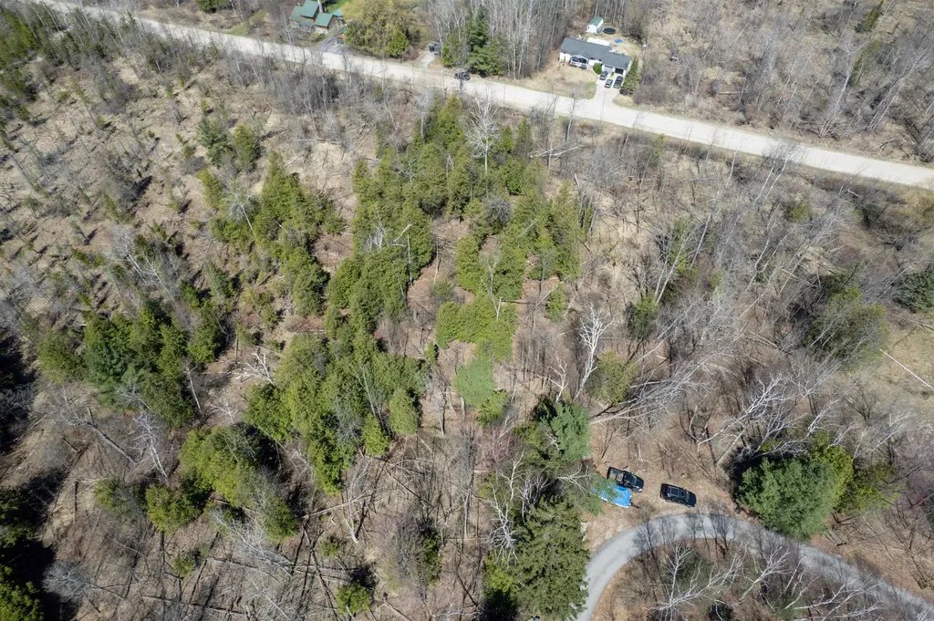 Vanderlip Road East Bay Township MI 49686