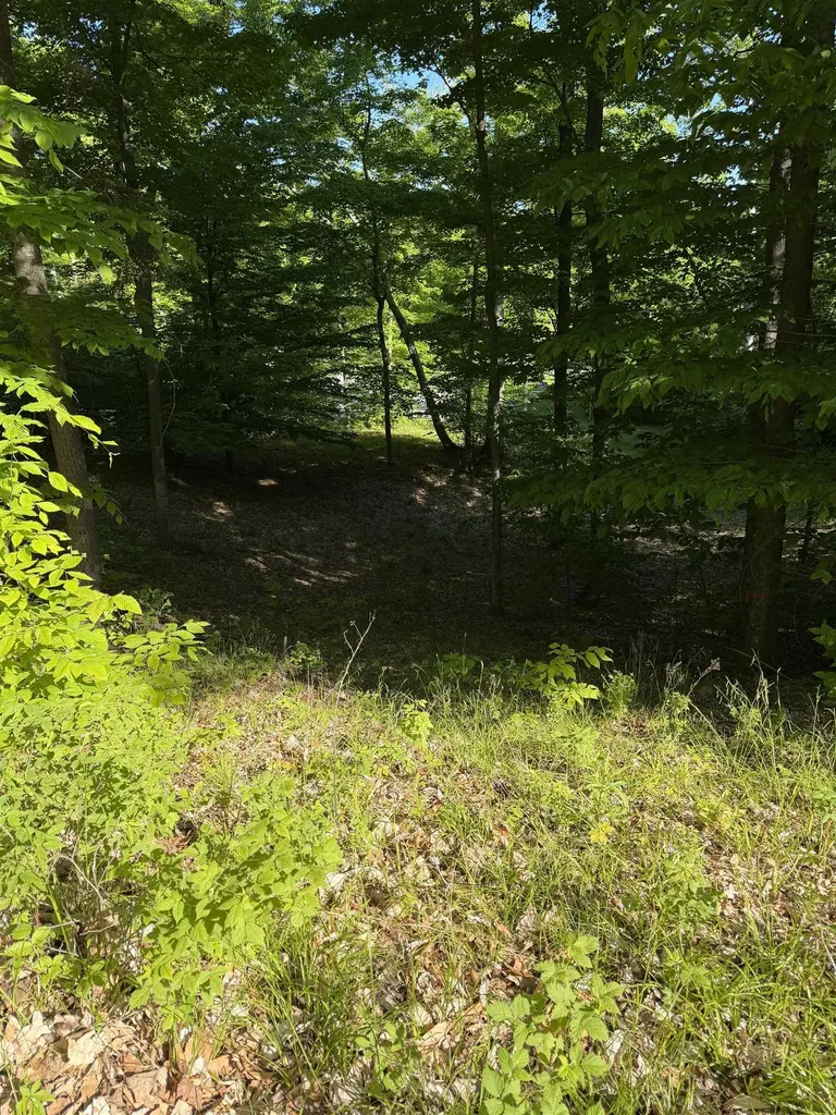 Unit 7 Old Trail Lake Township MI 49635