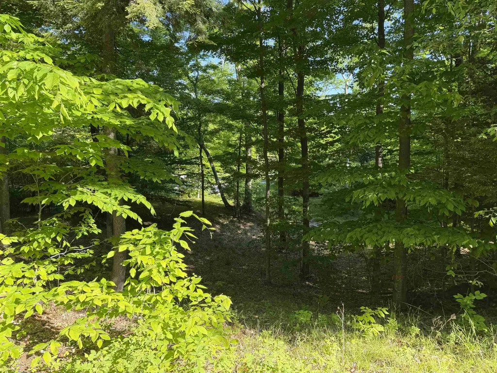 Unit 7 Old Trail Lake Township MI 49635