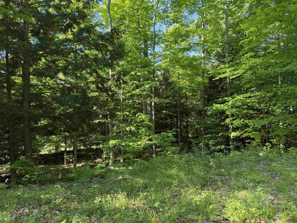 Unit 7 Old Trail Lake Township MI 49635
