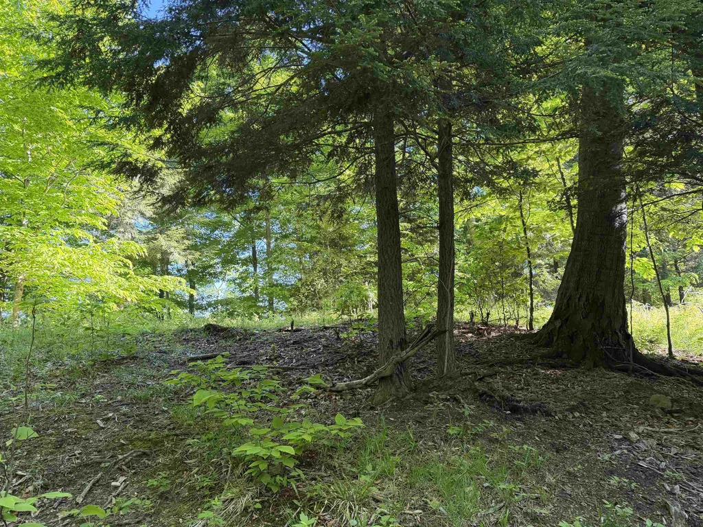 Unit 7 Old Trail Lake Township MI 49635