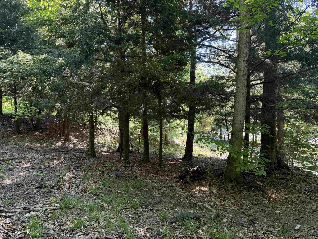 Unit 7 Old Trail Lake Township MI 49635