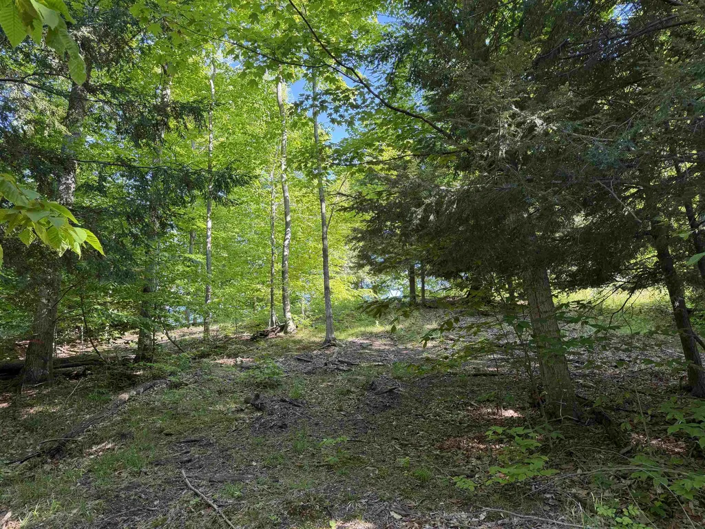 Unit 7 Old Trail Lake Township MI 49635