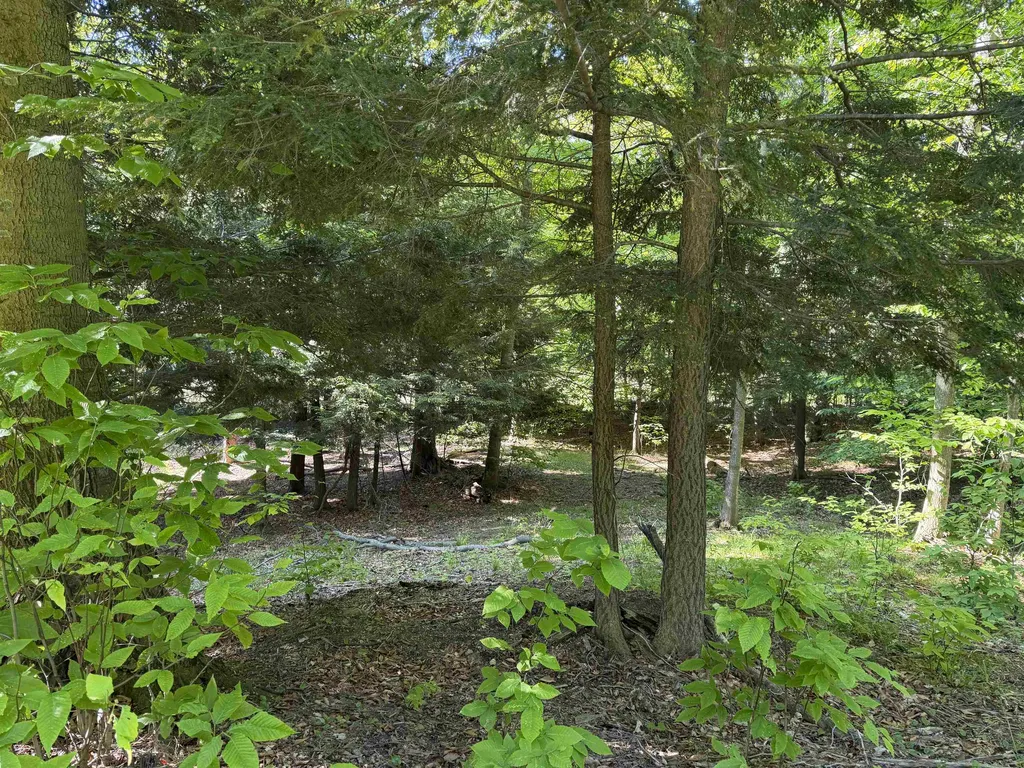 Unit 7 Old Trail Lake Township MI 49635