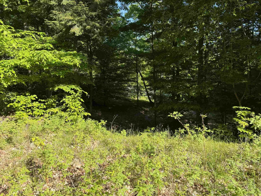 Unit 7 Old Trail Lake Township MI 49635