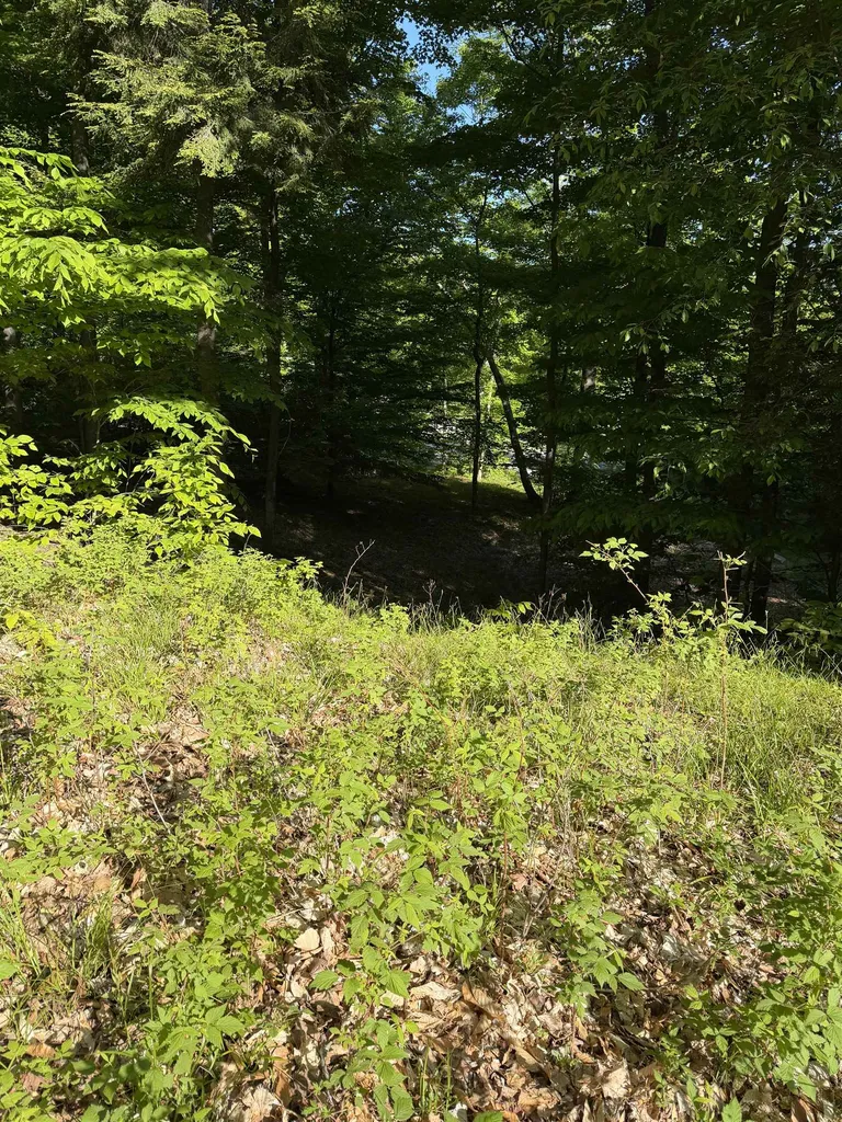 Unit 7 Old Trail Lake Township MI 49635