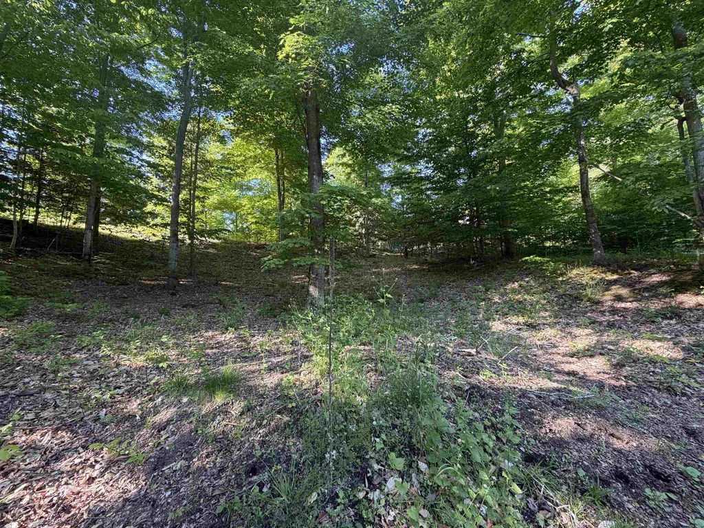 Unit 7 Old Trail Lake Township MI 49635