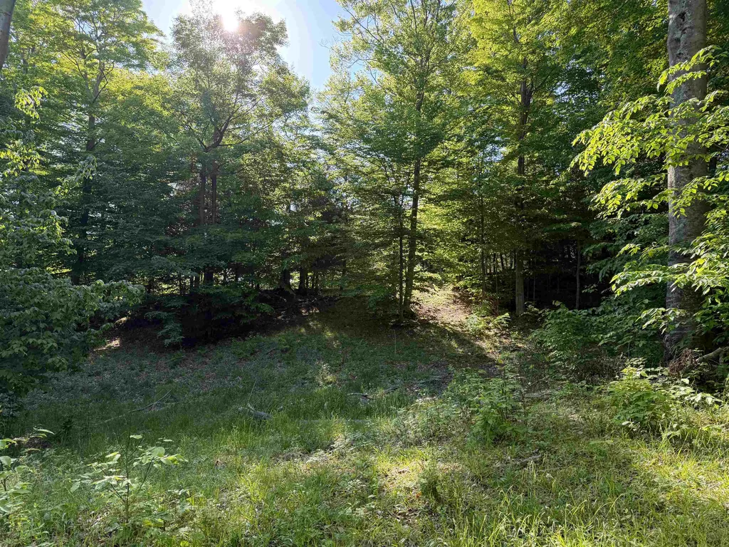 Unit 7 Old Trail Lake Township MI 49635