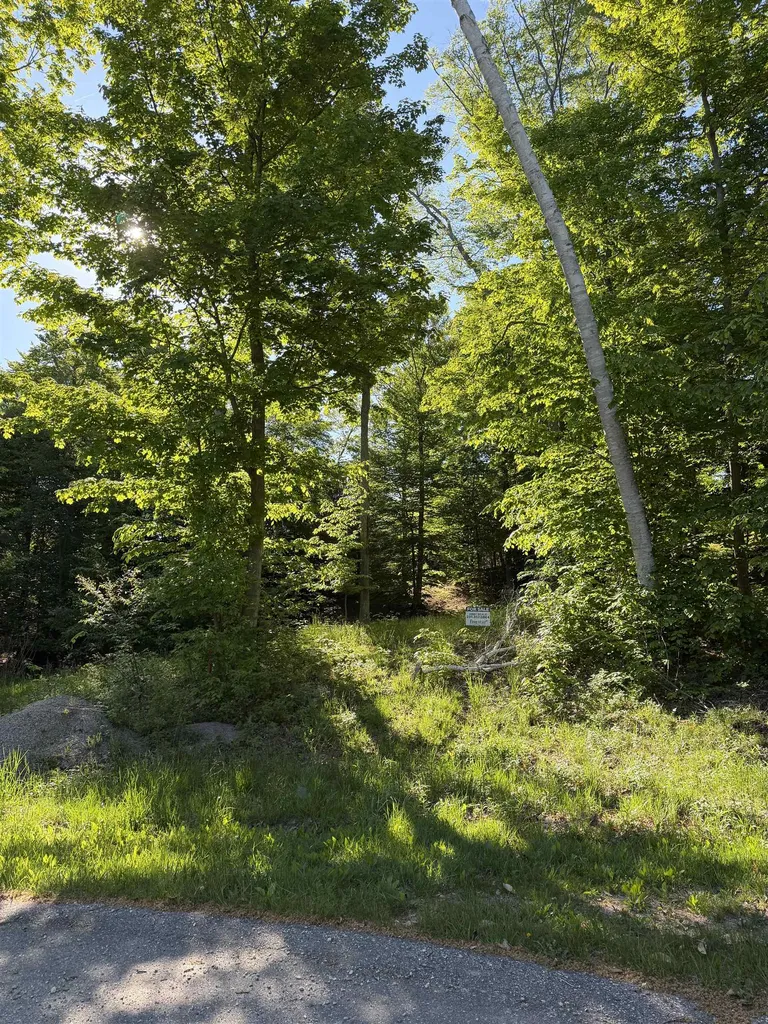 Unit 7 Old Trail Lake Township MI 49635