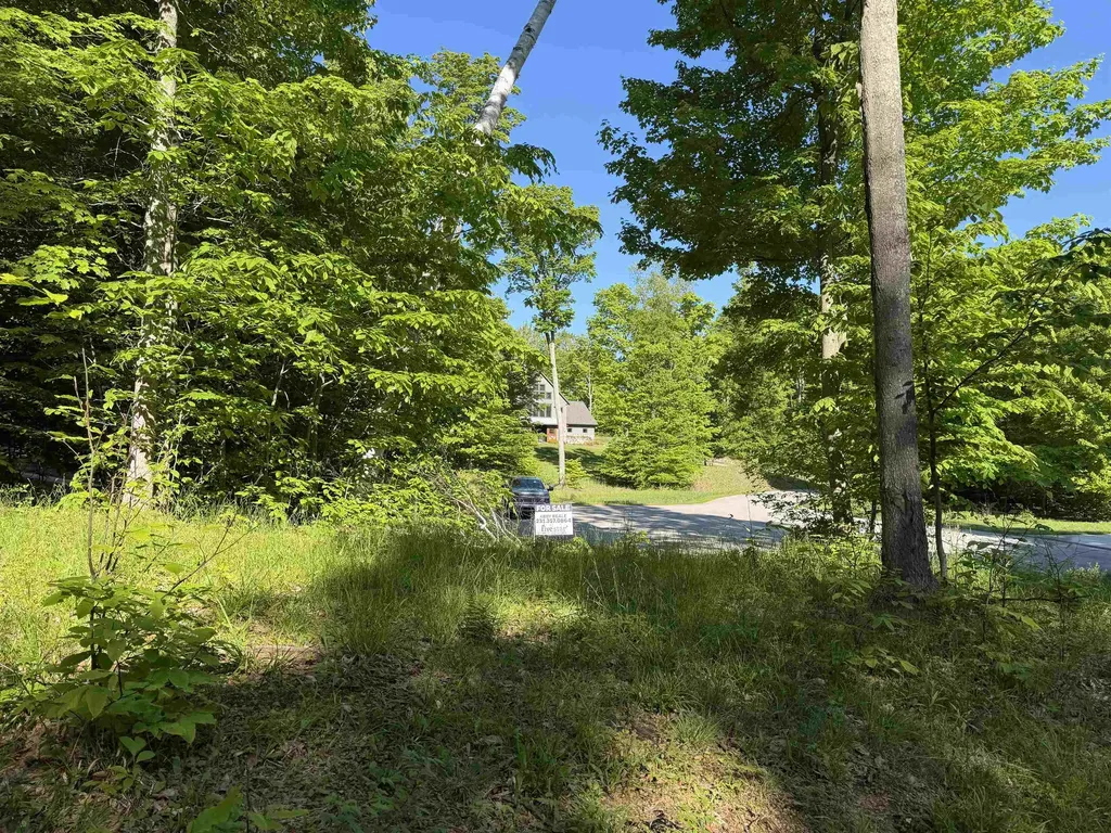 Unit 7 Old Trail Lake Township MI 49635