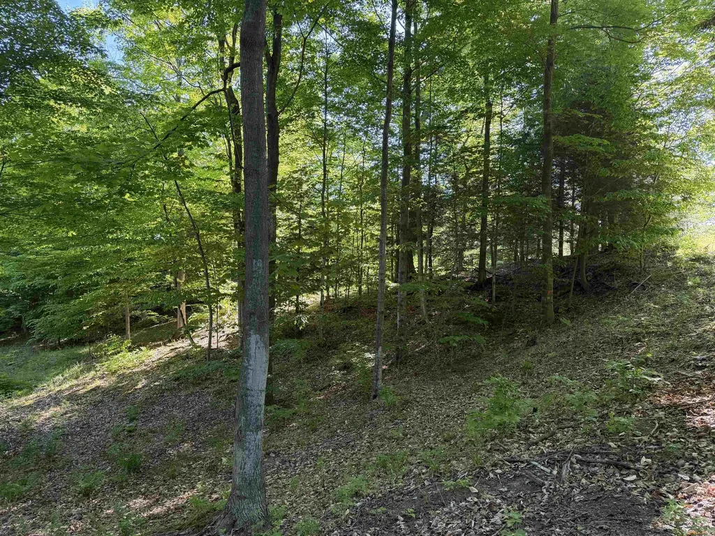 Unit 7 Old Trail Lake Township MI 49635