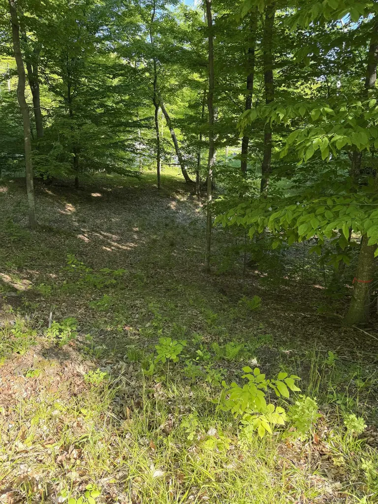 Unit 7 Old Trail Lake Township MI 49635