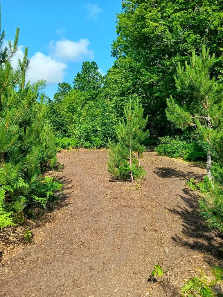13544 Aylsworth Road Weldon Township MI 49617