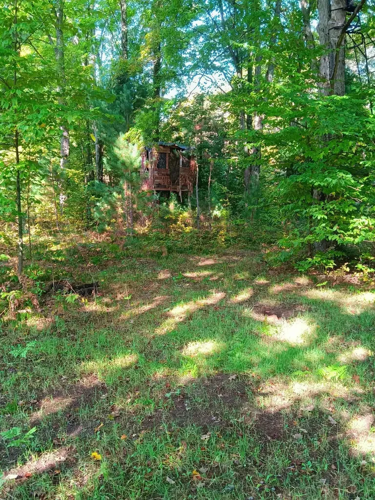 13544 Aylsworth Road Weldon Township MI 49617