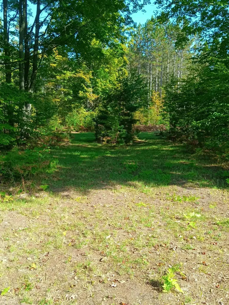 13544 Aylsworth Road Weldon Township MI 49617