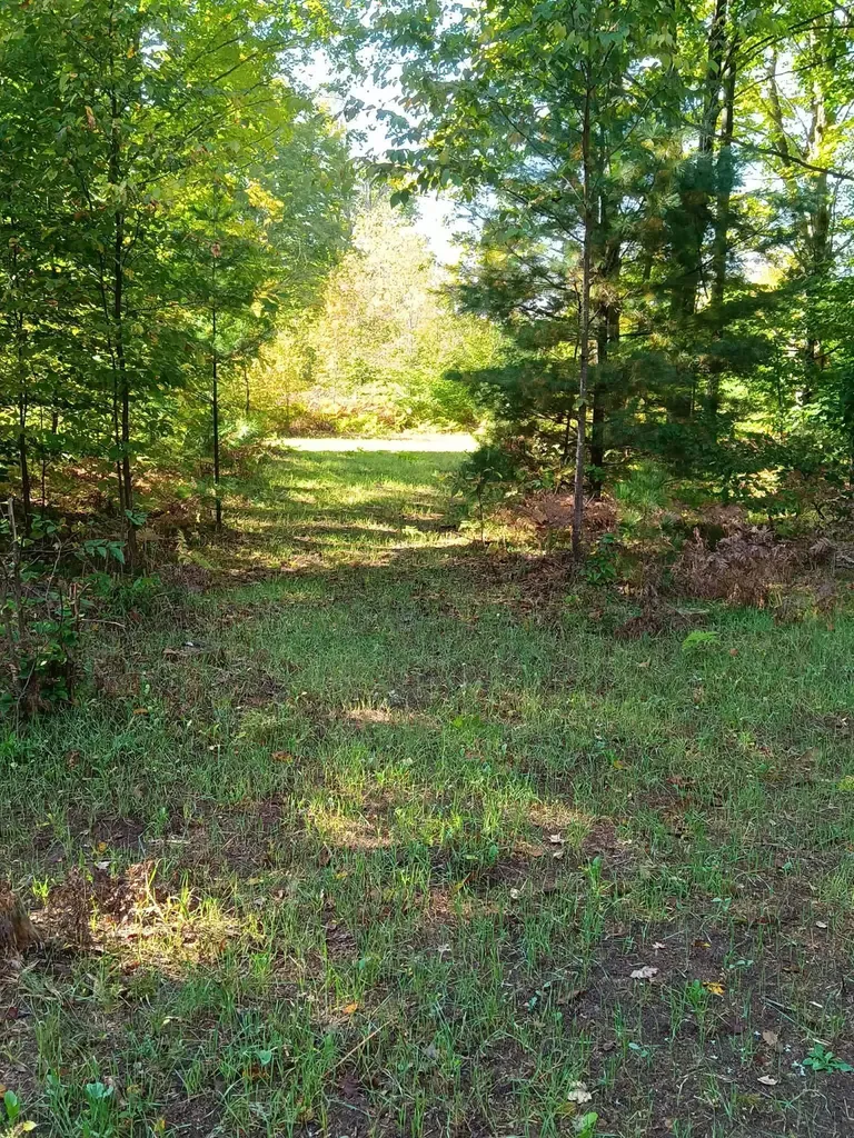 13544 Aylsworth Road Weldon Township MI 49617