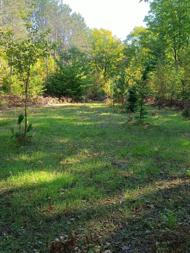 13544 Aylsworth Road Weldon Township MI 49617