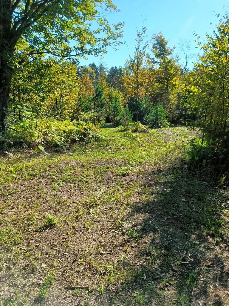 13544 Aylsworth Road Weldon Township MI 49617