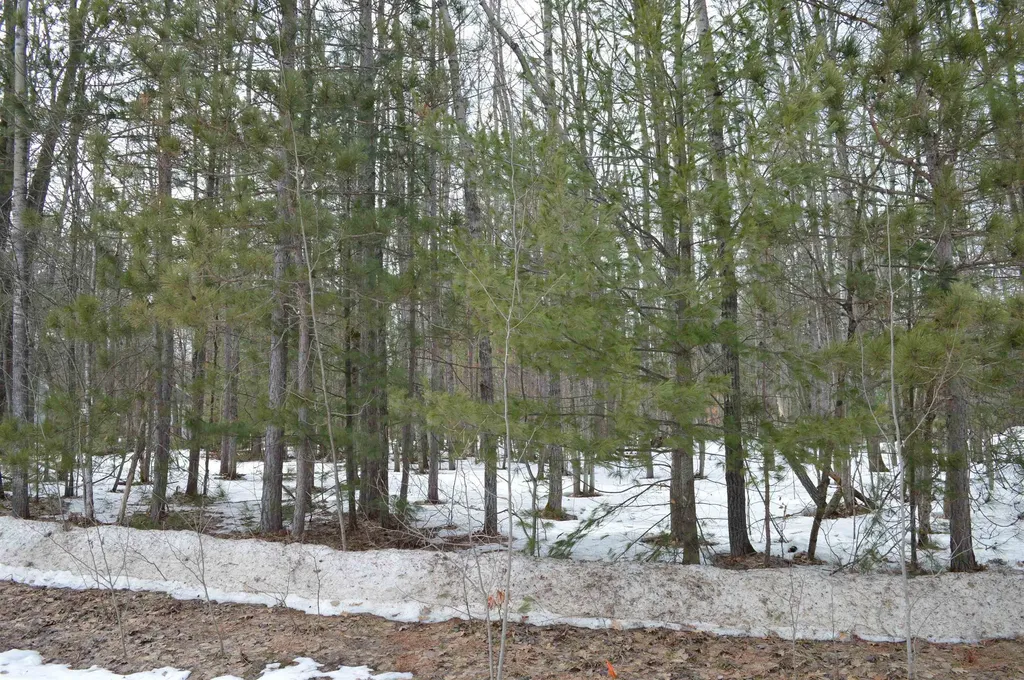 1949 Fairways Drive Kalkaska Township MI 49646