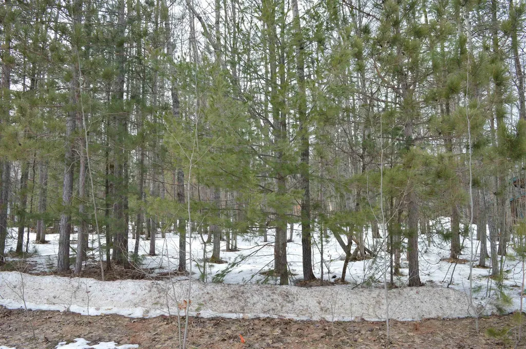 1949 Fairways Drive Kalkaska Township MI 49646