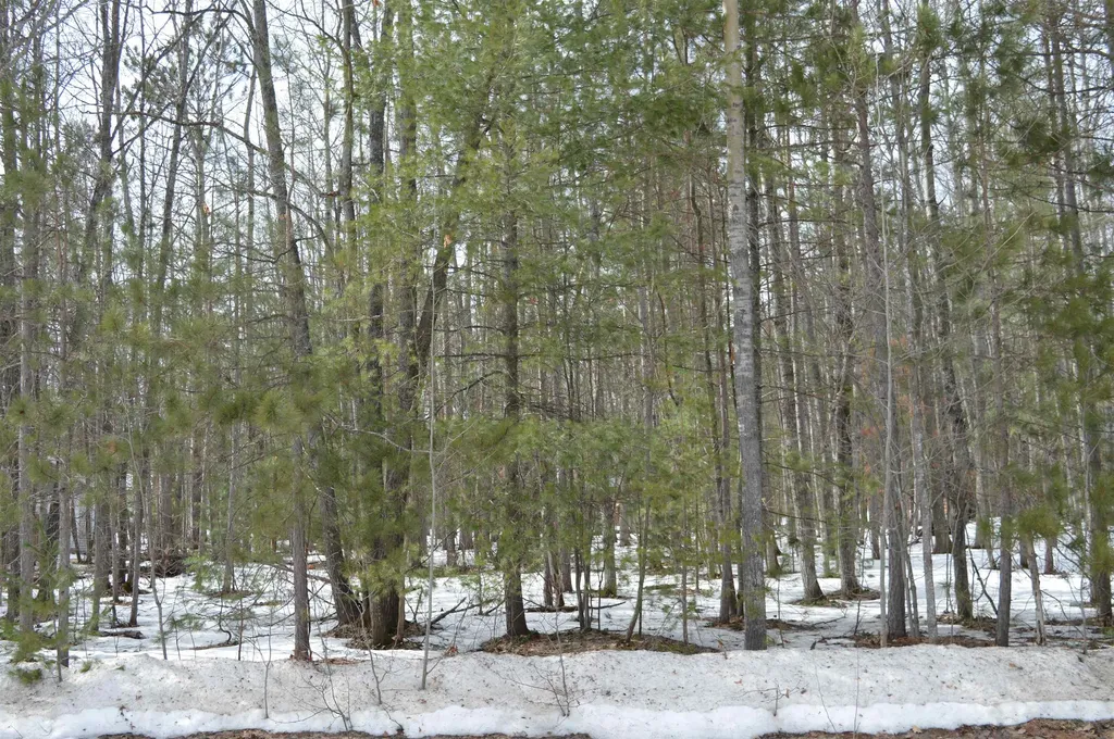 1949 Fairways Drive Kalkaska Township MI 49646