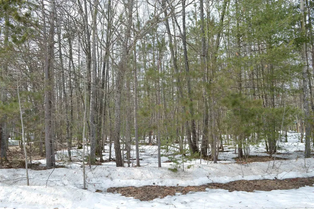 1949 Fairways Drive Kalkaska Township MI 49646