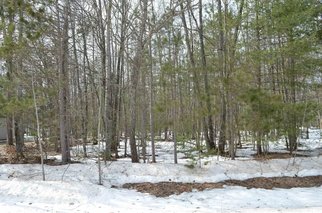 1949 Fairways Drive Kalkaska Township MI 49646