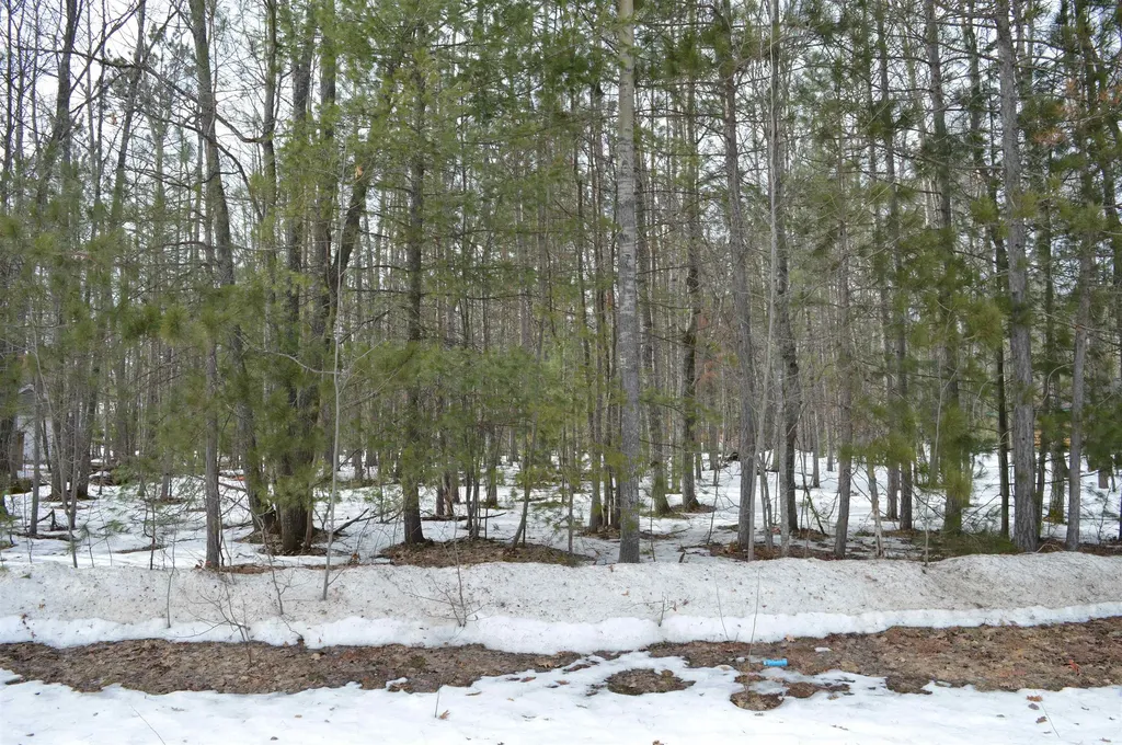 1949 Fairways Drive Kalkaska Township MI 49646