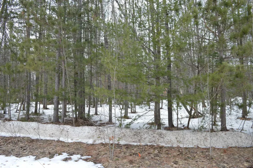 1949 Fairways Drive Kalkaska Township MI 49646