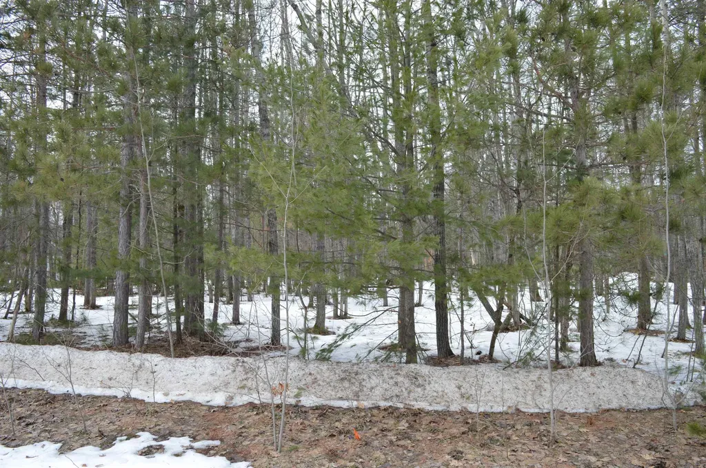 1949 Fairways Drive Kalkaska Township MI 49646
