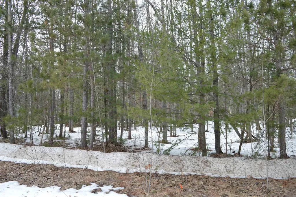 1949 Fairways Drive Kalkaska Township MI 49646