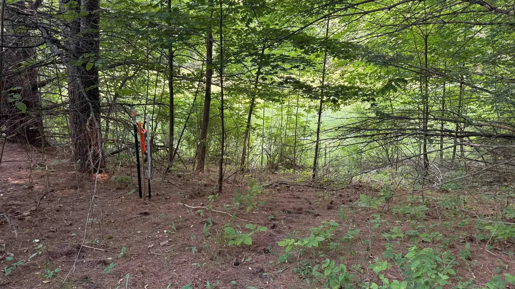 Tbd Rushton Road Banks Township MI 49729