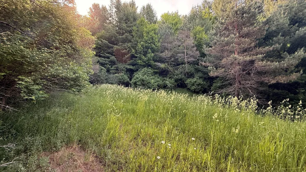 Tbd Rushton Road Banks Township MI 49729