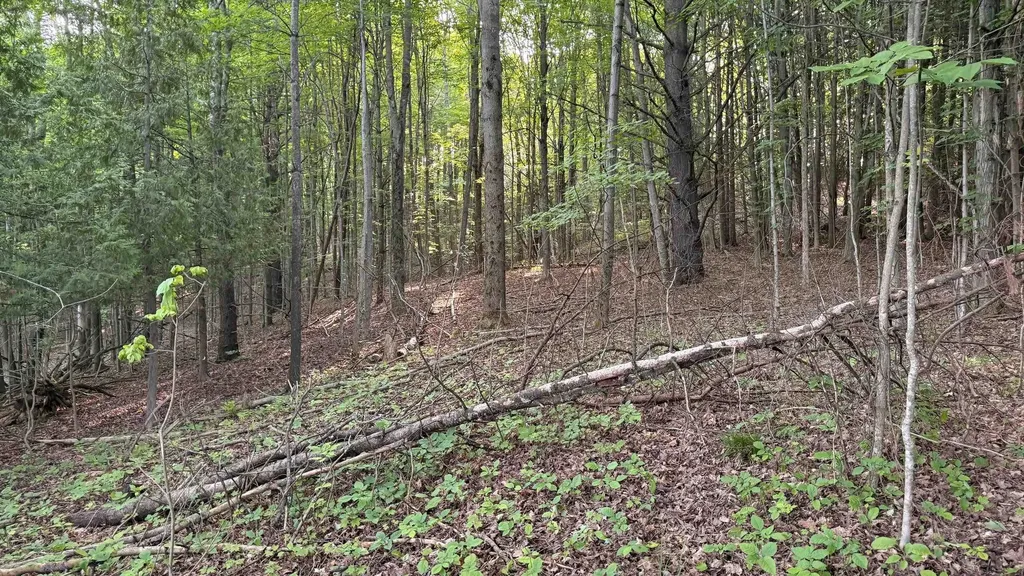 Tbd Rushton Road Banks Township MI 49729