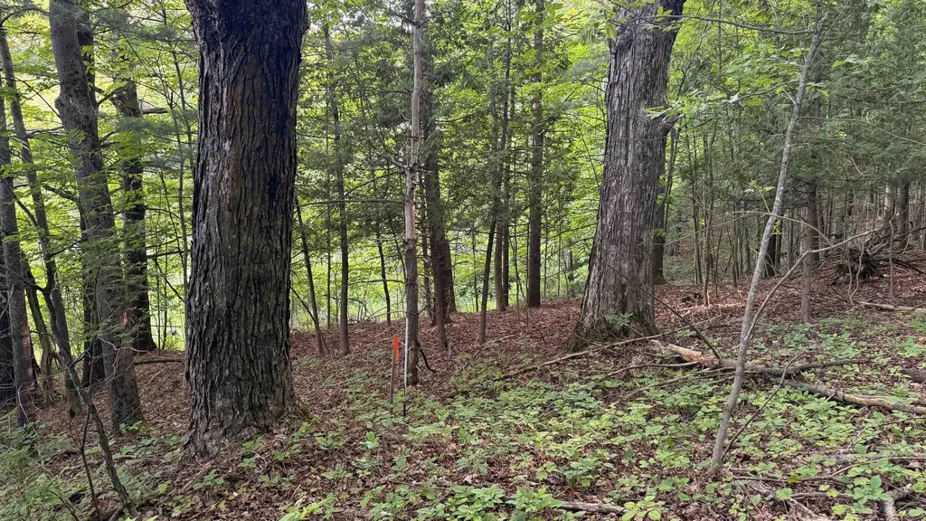 Tbd Rushton Road Banks Township MI 49729
