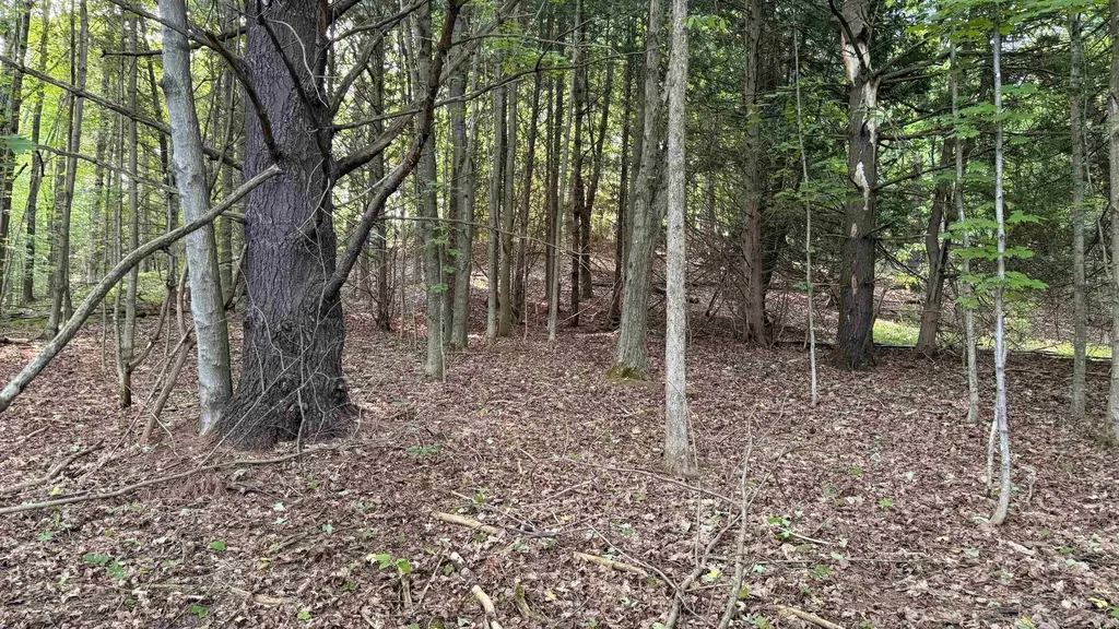 Tbd Rushton Road Banks Township MI 49729