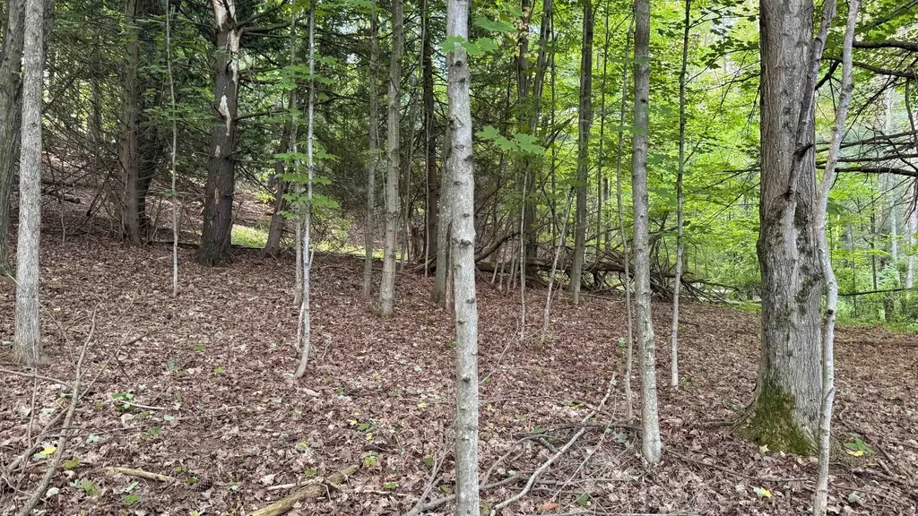 Tbd Rushton Road Banks Township MI 49729