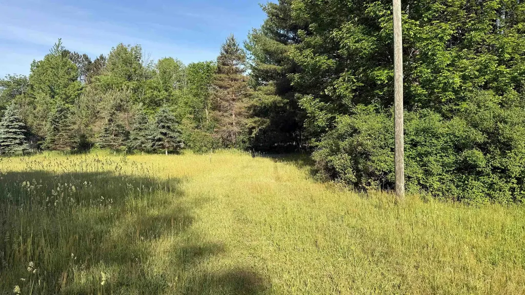 Tbd Rushton Road Banks Township MI 49729