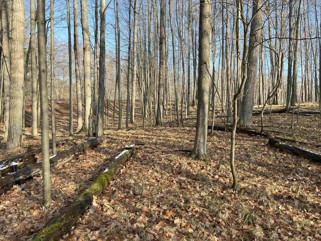9357 W Circle Drive Morton Township MI 49346