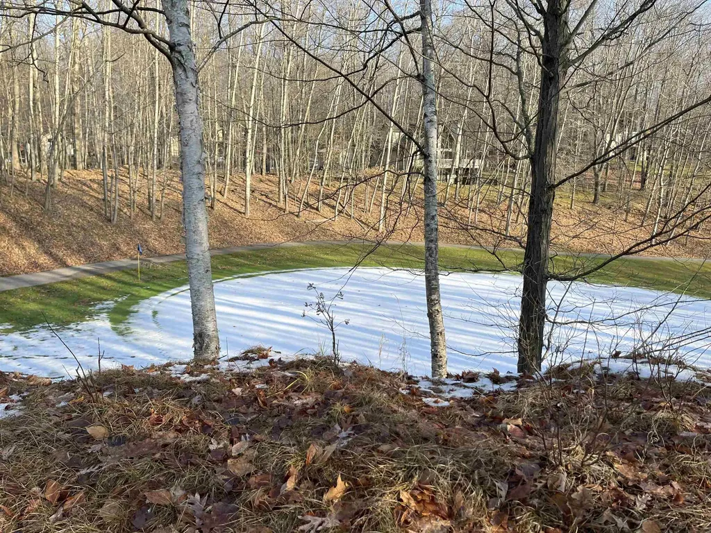 9357 W Circle Drive Morton Township MI 49346