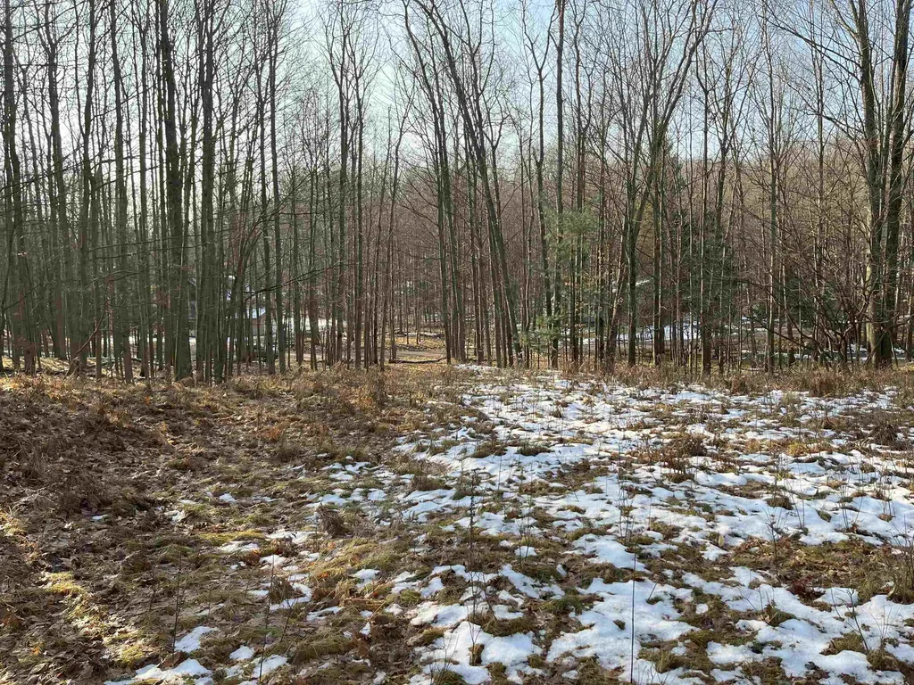 9357 W Circle Drive Morton Township MI 49346