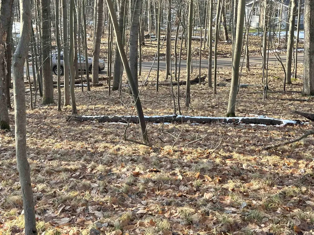 9357 W Circle Drive Morton Township MI 49346