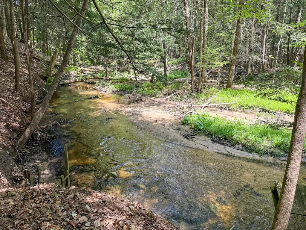 2155 N Belanger Creek Drive Suttons Bay Township MI 49682